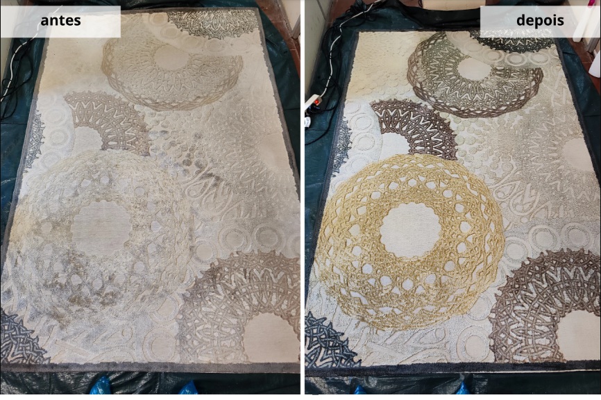 Antes e depois — tapete estampado higienizado pela Clean 027
